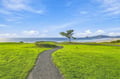 A scenic oceanfront property surrounded by lush green lawns with beach access and distant coastal views.