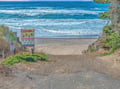 Pristine beach access awaits at Laurel Street, where golden sand meets rolling waves and coastal vegetation frames the perfect seaside escape.