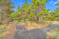 walking trail