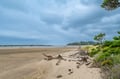 A pristine beach stretches along the calm bay, framed by driftwood and coastal pines. The expansive shoreline and natural surroundings showcase the property's peaceful waterfront location.