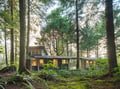 Modern retreat nestled in towering evergreens with warm interior lighting creating a magical forest sanctuary.