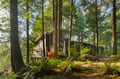 Step into your private forest retreat where towering evergreens create a natural sanctuary around this modern cabin.