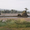 Coastal scenery near the property features dramatic rock formations, tidal flats, and tree-lined mountain views creating a peaceful natural backdrop.