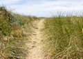 Dunes/Beach Access