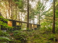 Modern forest retreat nestled among towering trees, where warm light filters through your windows and nature becomes your backyard.