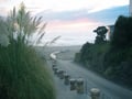 29 - ORC - Beach Access Photo (Blue)0250