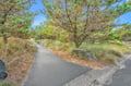 walking trail