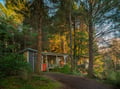 Modern retreat nestled among towering trees, where golden light filters through the forest canopy to your private woodland sanctuary.