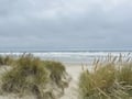 Beach Access: Dune trail opening onto the ocean.