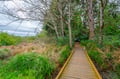 A wooden boardwalk leads through lush natural landscape, framed by towering trees and vibrant greenery—perfect for a peaceful stroll near the property.