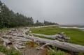 A dramatic coastal landscape frames the property area, where weathered driftwood lines pristine shoreline and lush evergreens meet tide pools and grassy wetlands.
