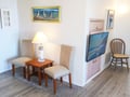 8 - OCEAN ROSE NEW CHAIRS BRIGHT