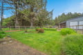 Spacious yard framed by mature evergreens and lush greenery, offering an open setting for outdoor relaxation or play in a serene natural environment.