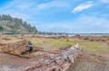 Driftwood-scattered coastline with forested bluffs creates a serene Pacific Northwest setting near the property.