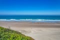 Expansive pristine beach stretches under brilliant blue skies, with gentle waves rolling onto golden sand and coastal vegetation in the foreground.