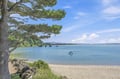 A serene waterfront setting with a sandy beach meeting calm, gently rippling waters. Mature trees frame the shoreline, offering natural shade over the peaceful coastal scene.
