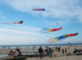 31 - Kite Fetival (Cropped) IMG_4453