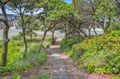 walk way to water