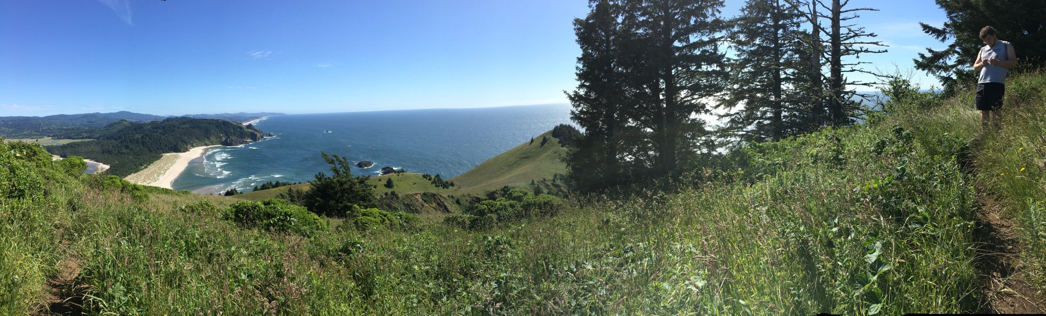View from Cascade Head
