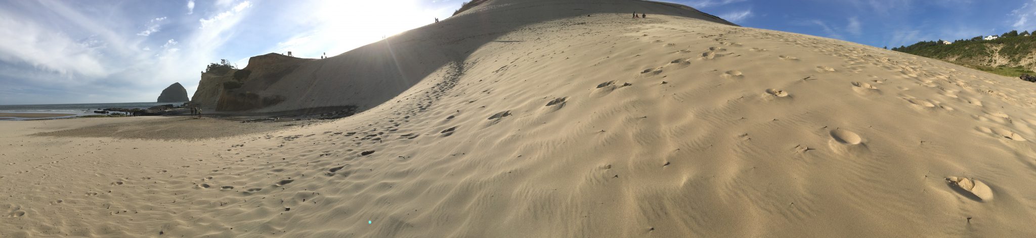 The bottom of the steep dune in Pacific City