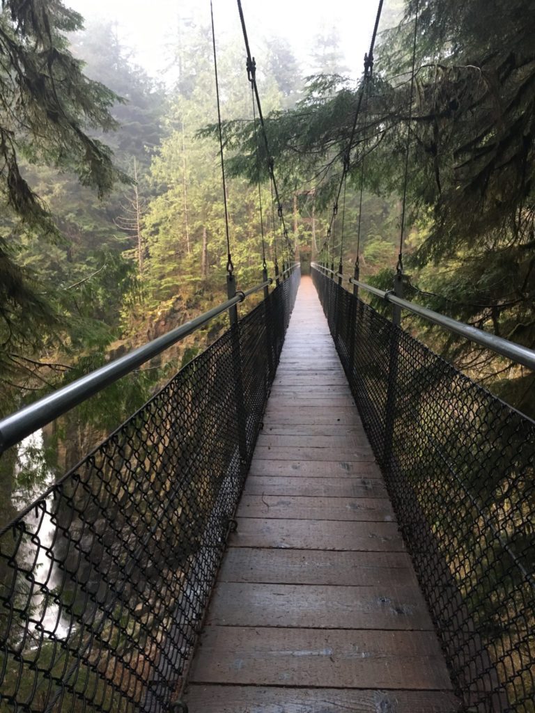 Suspension bridge overlooking Drift Creek Falls