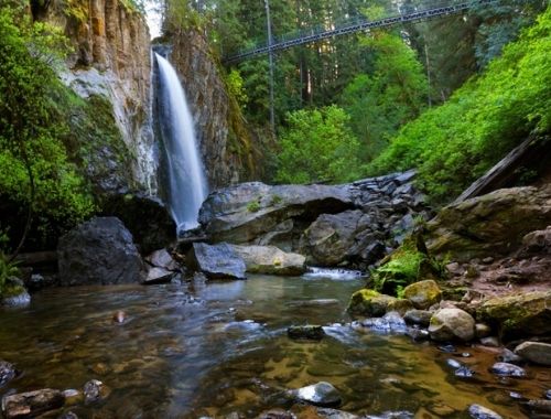 Drift Creek Falls Trail Hike to Siuslaw National Forest Waterfall