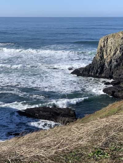 Views From Yaquina Head