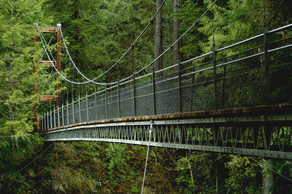 View of the 240ft suspension bridge over Drift Creek Falls, the longest suspension bridge in Oregon.