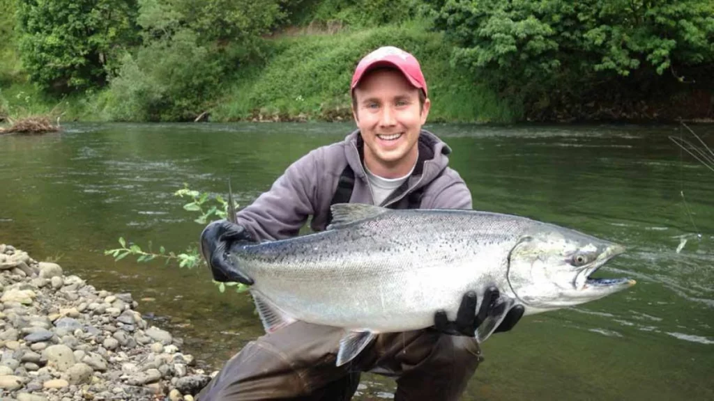Chinook Salmon in the Big Nestucca