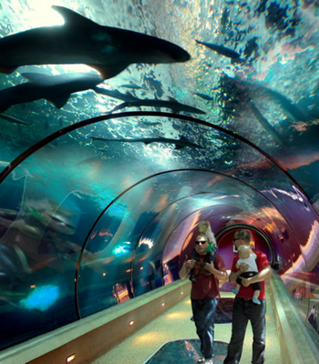 Oregon Coast Aquarium in Newport, OR