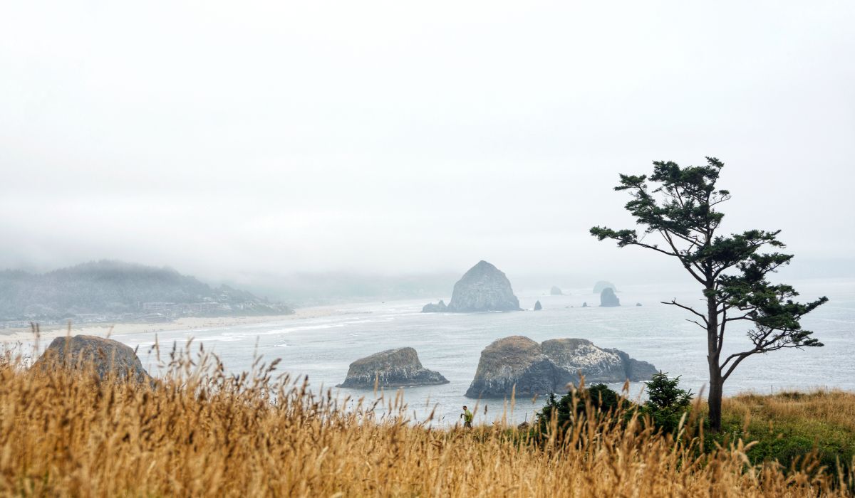 Ecola State Park 