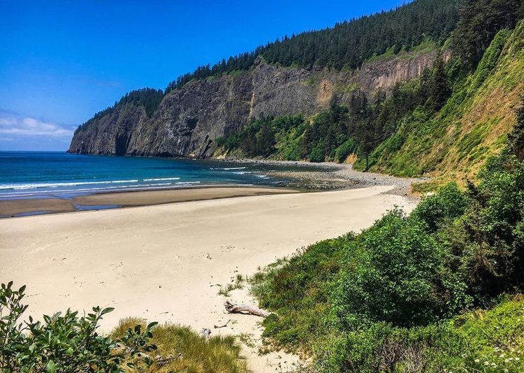 Family-Friendly Hikes Along the Oregon Coast 